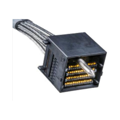 HS31102025 Bağlantılar Yüksek Hızlı Dikey ExaMAX Kablo Toplamaları