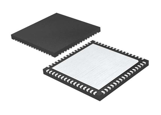 ADS42JB46IRGCR Entegre Devre Çip 14 Bit Çift Kanal Analog Dijital Dönüştürücü